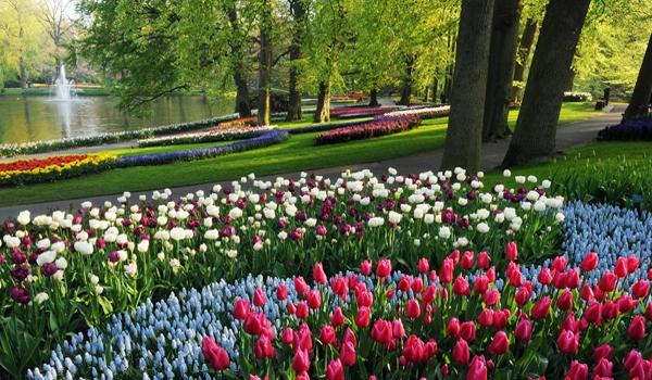 Keukenhof